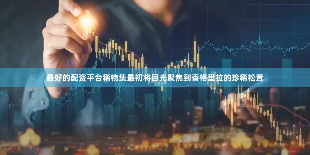 最好的配资平台稀物集最初将目光聚焦到香格里拉的珍稀松茸