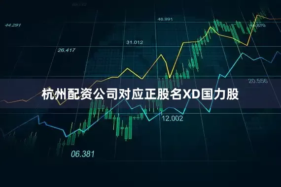 杭州配资公司对应正股名XD国力股
