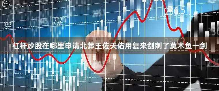 杠杆炒股在哪里申请北莽王佐天佑用复来剑刺了莫木鱼一剑