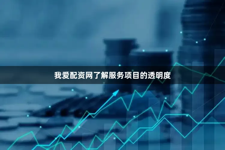 我爱配资网了解服务项目的透明度